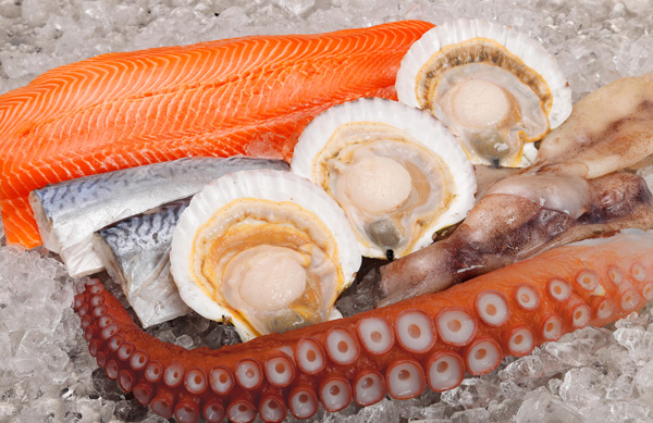 Seafood of Aomori