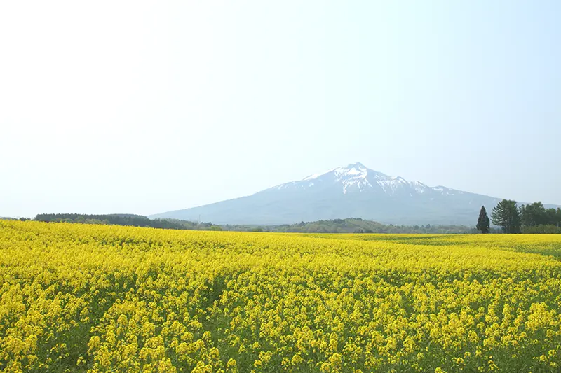 岩木山(津軽富士)