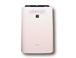 Air Purifier with Humidifier