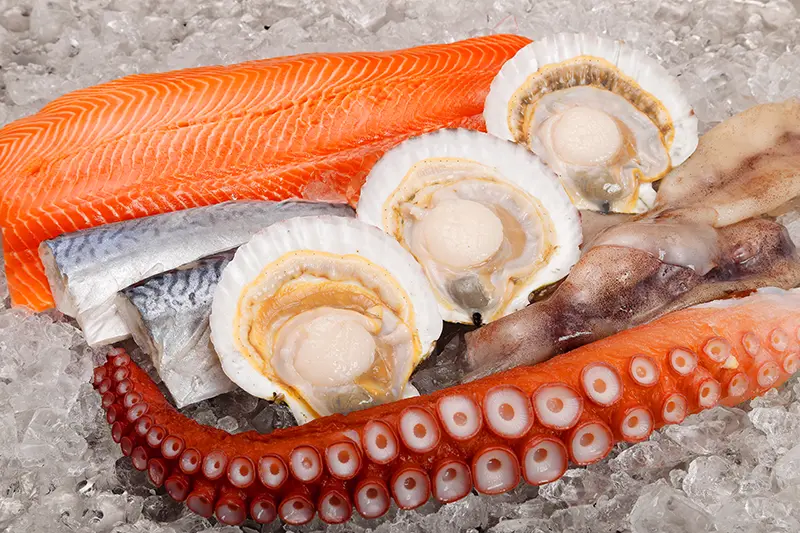 青森県の海産物